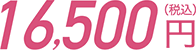 16,500円（税込）