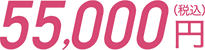 55,000円（税込）